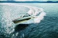 Sealine S335 New Model with Free Options