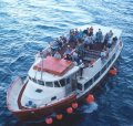 20 Mtr. Day Tourist Sightseeing and Charter Vessel