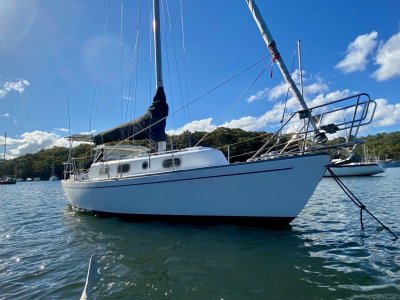 Halvorsen 30 - Solid and Reliable Single Handed Cruiser