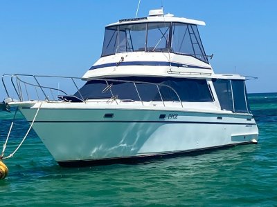 Riviera 38 Flybridge Wide Body (Extended to 41ft)- Click for more info...