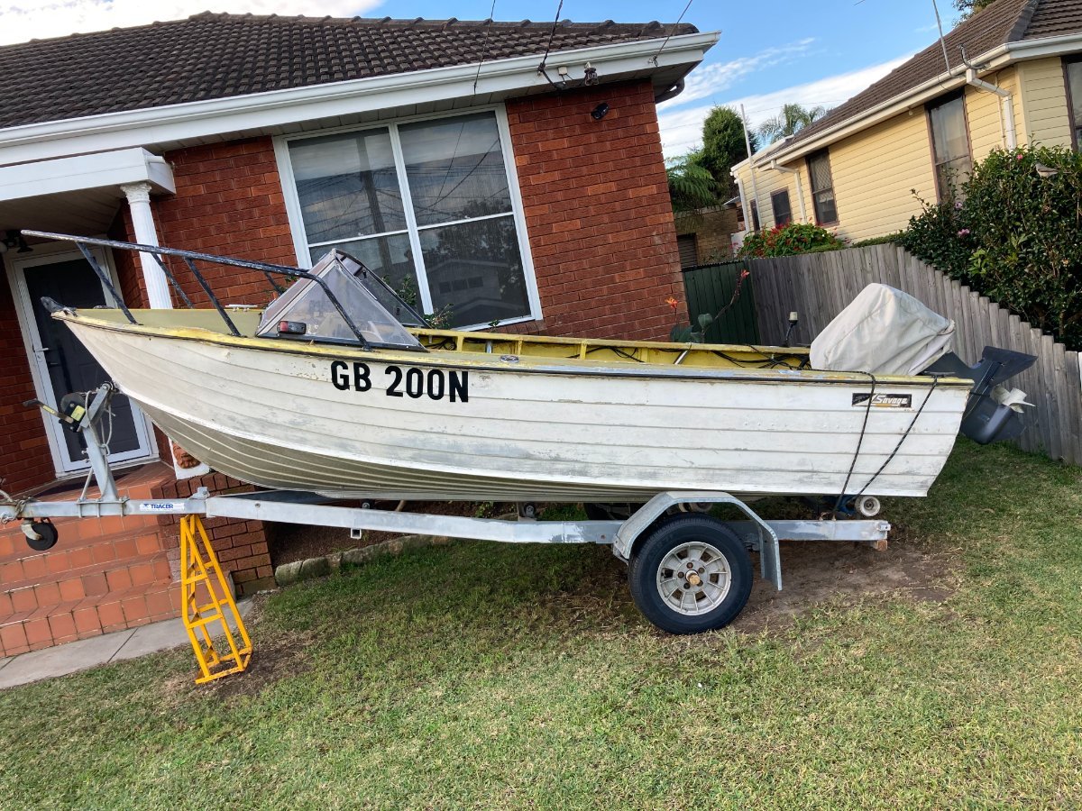 Savage 16.5 ft Tinny Boat only will remove outboard