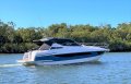 New Focus Power 33