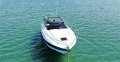 New Focus Power 33