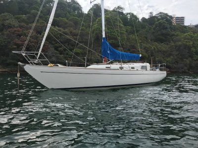 Swanson 36 timber built to @38ft