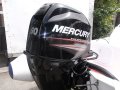 Mercury Oceanrunner 460 side console and Mercury 60hp EFI 4 stroke
