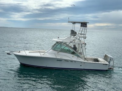 Luhrs 32 Open Tower " Dual Helm and Cummins Diesels "
