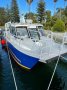 Bayshore Boats 830 Power Catamaran /Charter vessel
