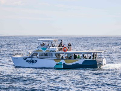 15m Catamaran 72 person 1C Offshore Survey