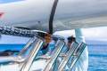 New Aquila 28 Molokai Cuddy