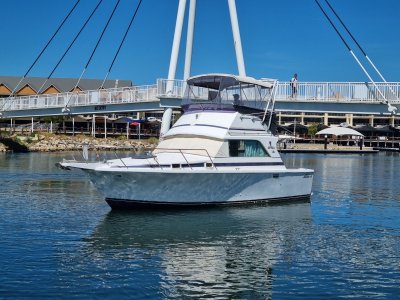 Bertram 31 Flybridge Cruiser - Highly Sought After Iconic All-Rounder!!