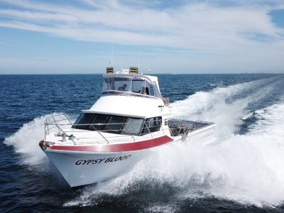 Marko Sambrailo 58 Fishing Vessel -New V12 Motor 1200HP