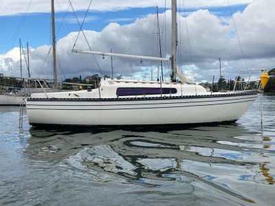 Triton 24 head room nice sails just in (Sydney Harbour)