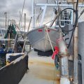TS576 - 15m East Coast Trawler Package