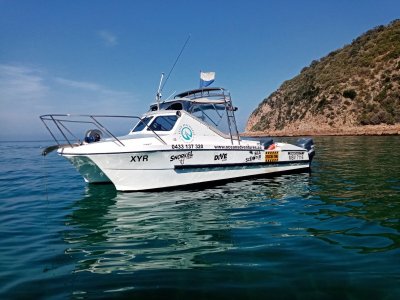 Edencraft 2400L Cat Rare Boat -Current Commercial 2D Survey 9+1-2Berth
