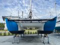 Fastback 32 Daggerboard Catamaran