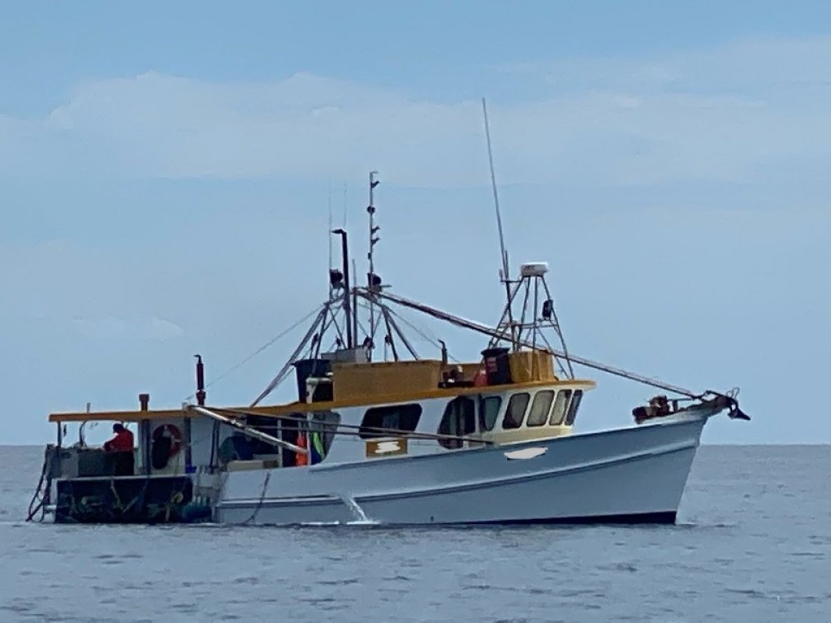 Millkraft Commercial Fishing boat / licence / quota package