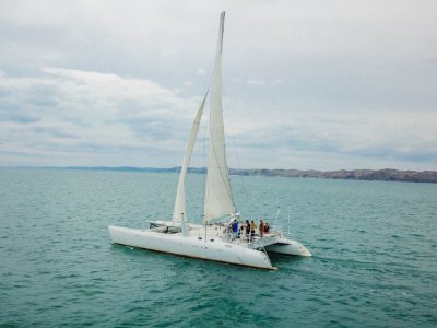 Feral 50 Cruising Catamaran
