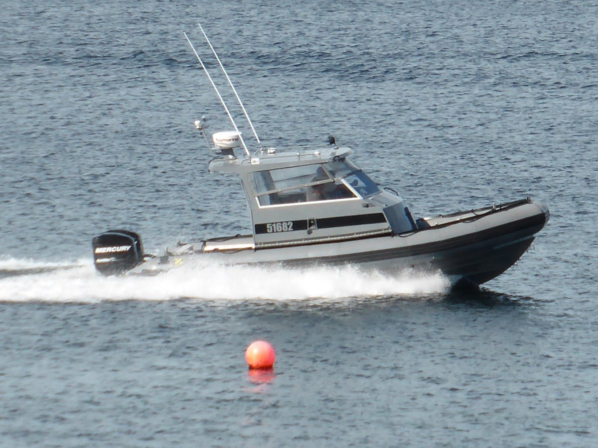 Zodiac Hurricane 733 EXCEPTIONAL QUALITY AND PERFORMANCE