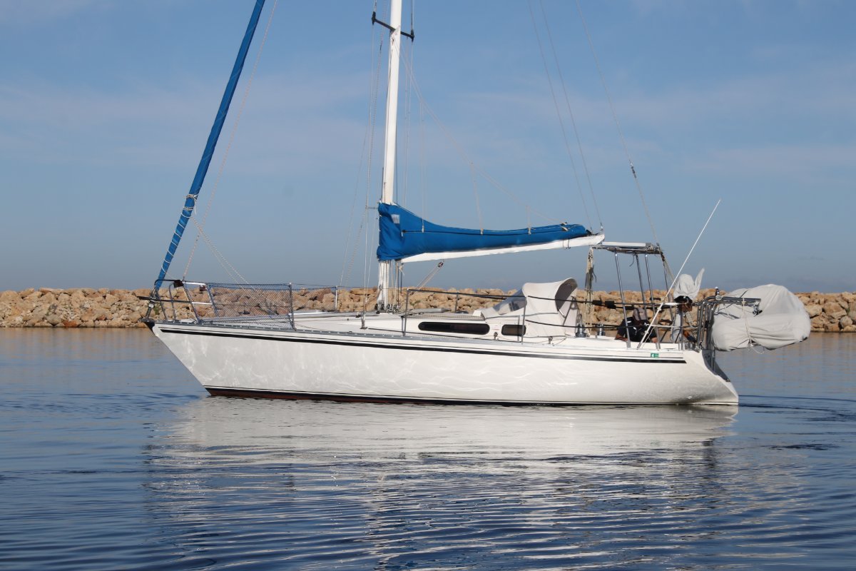 cole 31 yacht for sale