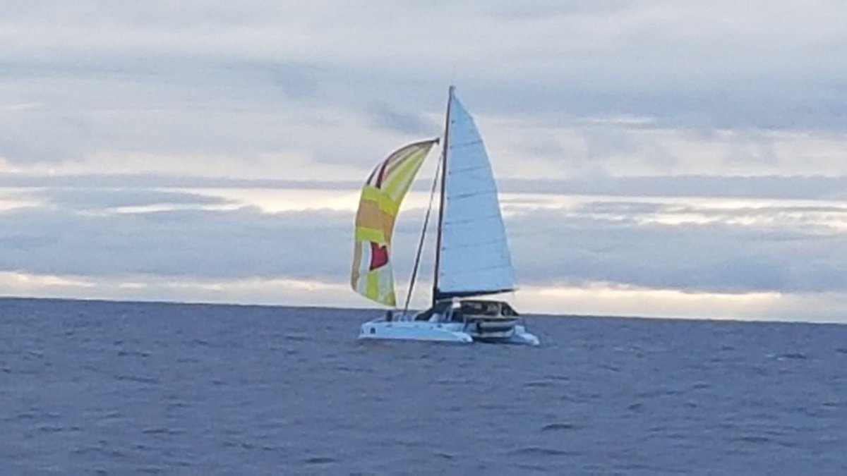 Gold Coast Yacht Power Cat Boat For Sale Waa2