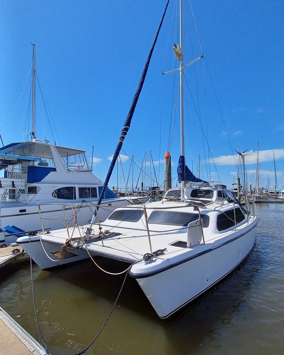 simpson catamaran for sale