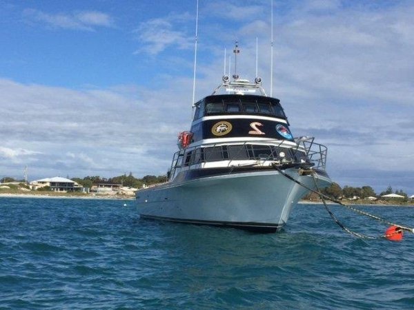 Charter / Fishing: Charter Vessel | Boats Online for Sale | Fibreglass
