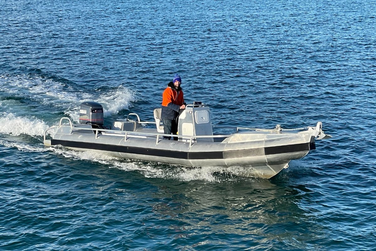Rib Workboat Commercial Vessel Boats Online for Sale Aluminium