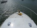 Halvorsen 32 Viking