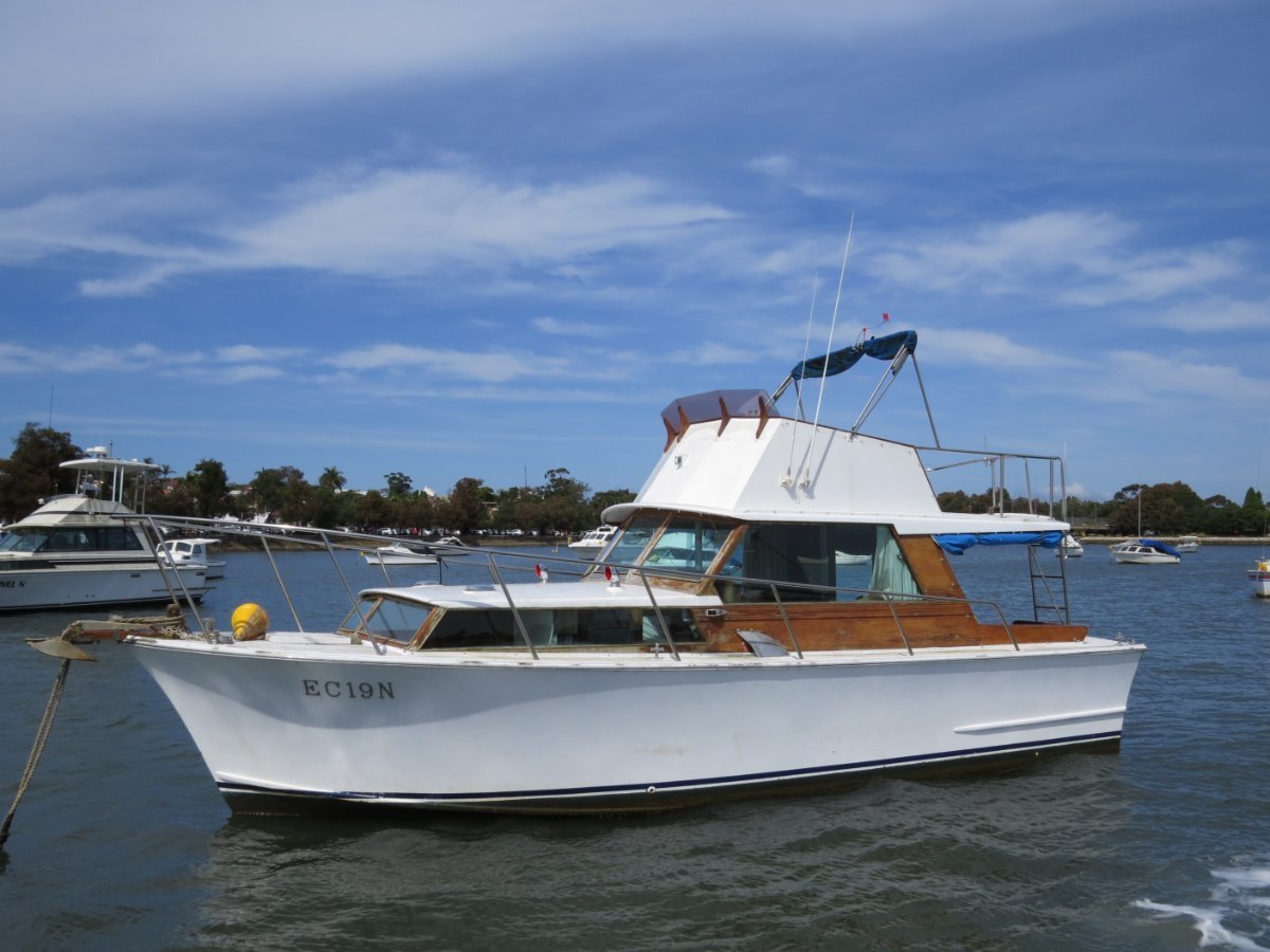 Halvorsen 32 Viking