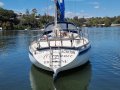 Adams 31
