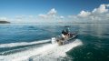 New Kingfisher Minicat 450:Alternative Options