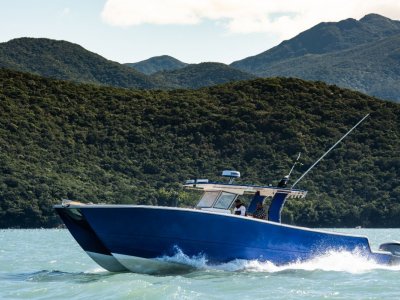Secboats SEC BOATS model Cat Fish 39 model 2023