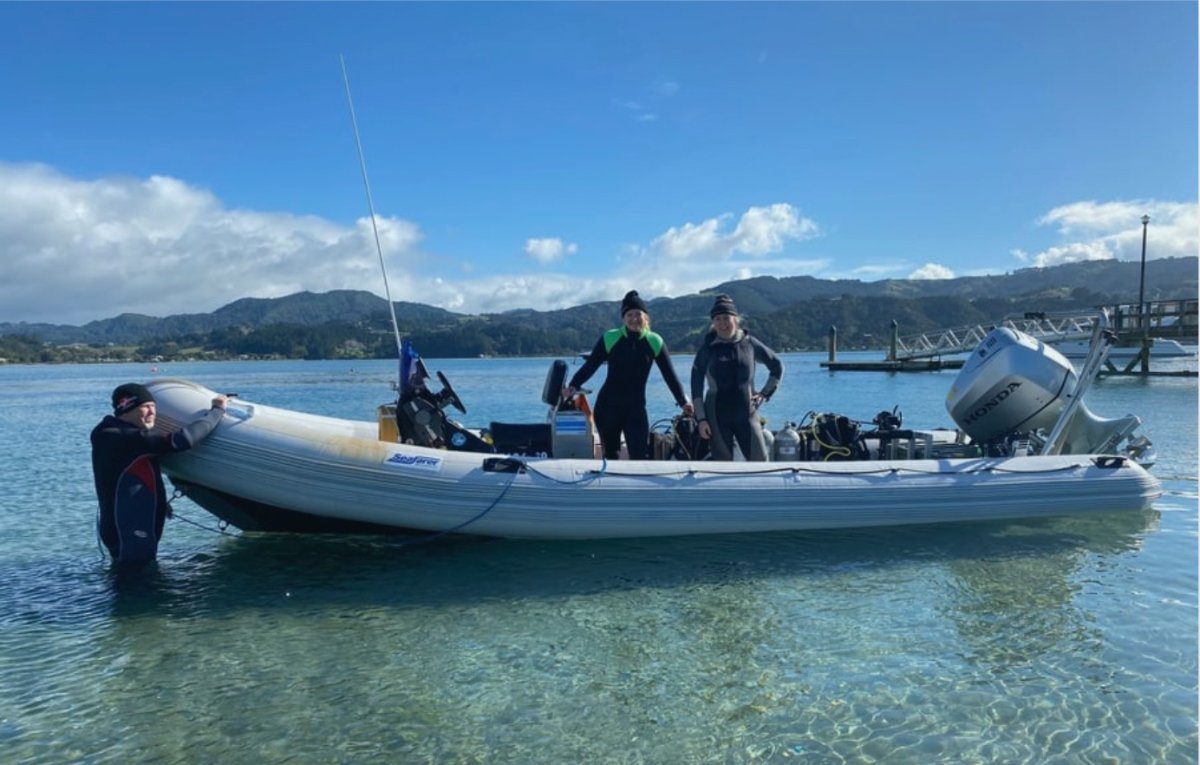 7m Rhib for Sale Inflatable Boats Online