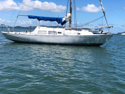 Clansman 30- Click for more info...