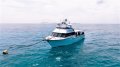 Marine Tourism Opportunity - Assets available for individual sale!