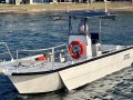 Stessl 850 Workboat Charter Vessel - Dry stored at RBM