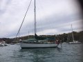 True North 34' Cruising Double Ended Cutter