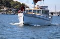 Classic Style Timber Motor Sailer - BRAND NEW 2022:4 Sydney Marine Brokerage Classic Style Timber Motor Sailer For Sale