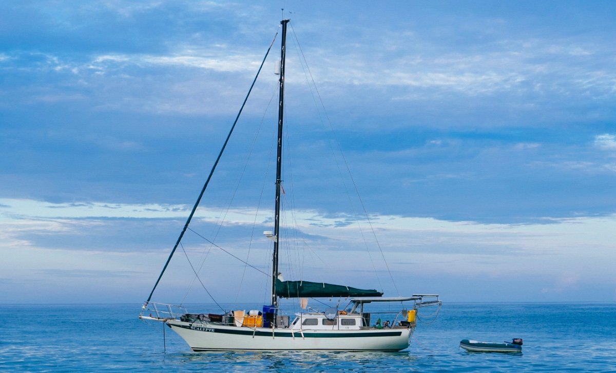 breken baard Muildier Used Endurance 35 - Calypte for Sale | Yachts For Sale | Yachthub