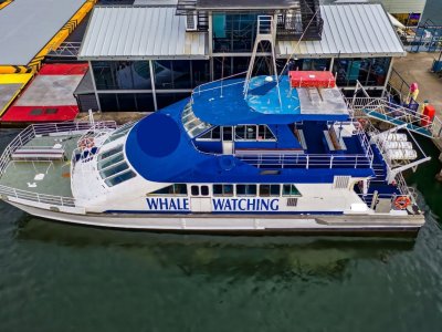 Incat Custom Hull Wave Piercing Catamaran 22.8m Aluminium with twin Detroit Diesels