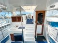 Sea Stella 40 Aft Cabin