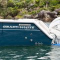 New Grady-White Express 330