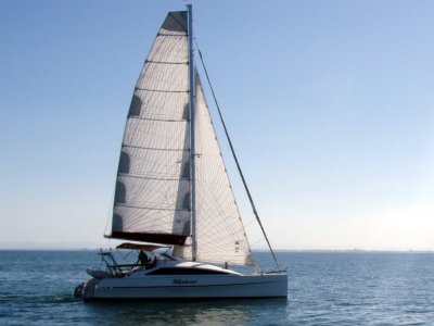 Simpson 40 Sailing Catamaran Backslash