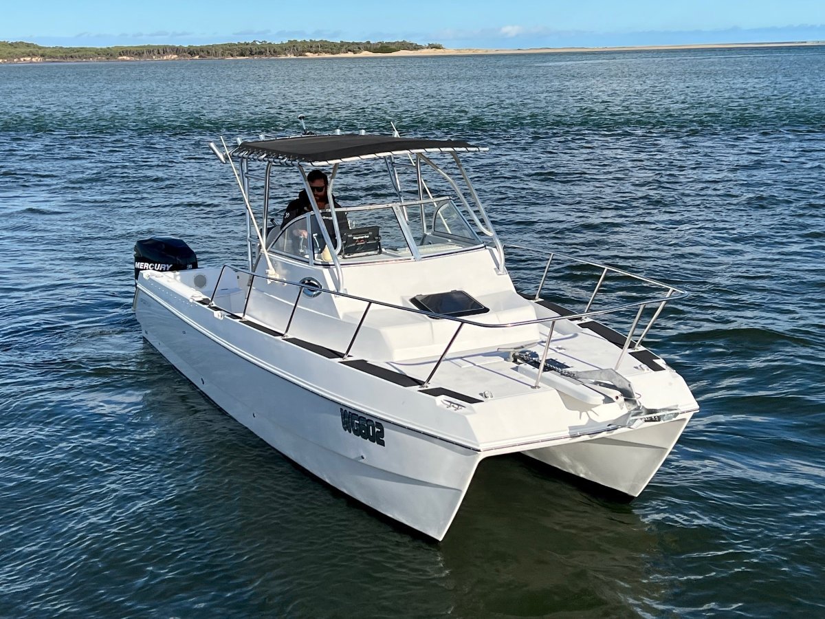 Shark Cat Sport Cat Scw25 Walkaround Power Boats Boats Online for