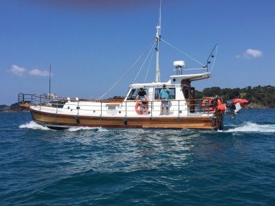 Pilot Boat Australian Built 14m