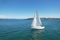 Triton 24