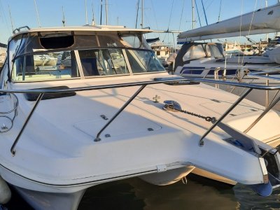Ozycat 2600 Bluewater