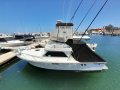 Black Watch 260 Flybridge Sportfishing TURBO DIESEL POWERED!