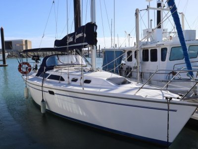 Catalina 320