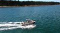 New Kingfisher Minicat 570:Kingfisher Minicat 570 Promo